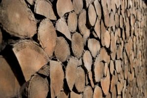 Декоративен арт панел Tocho Natura - 300 × 131 см
